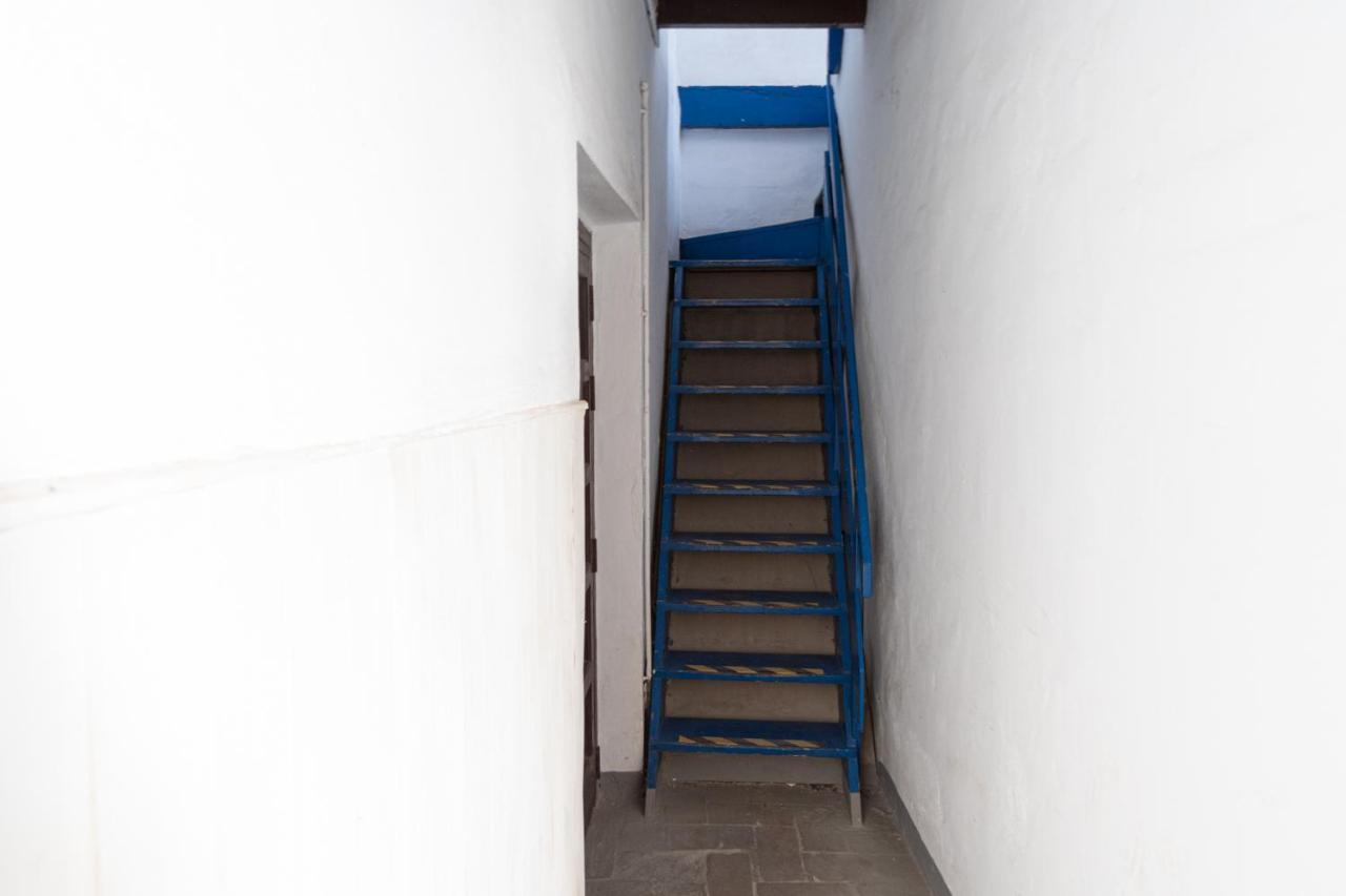 Apartment La Gitanilla Terrace Cádiz Exteriör bild